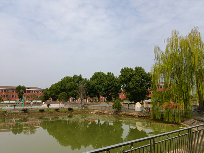 绿色2.jpg