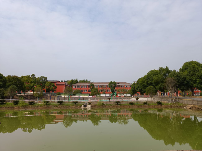 绿色.jpg